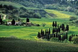 Chianti Valley